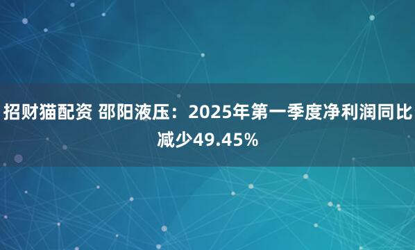招财猫配资 邵阳液压：2025年第一季度净利润同比减少49.45%