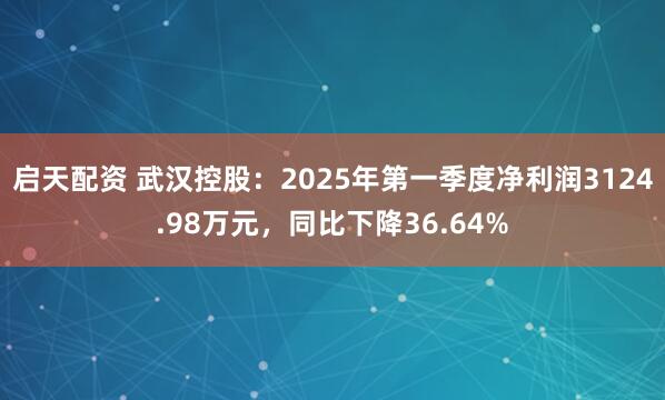 启天配资 武汉控股：2025年第一季度净利润3124.98万元，同比下降36.64%