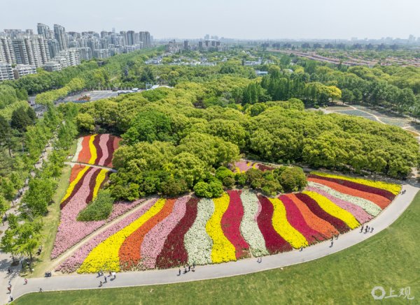纯旭配资 场面｜七彩交织 在世纪公园享受城市中的田园春光
