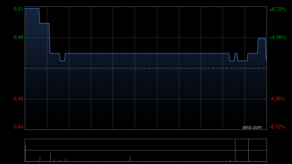 祥盛期权 弘海高新资源拟折让约14.89%配售最多4092万股配售股份
