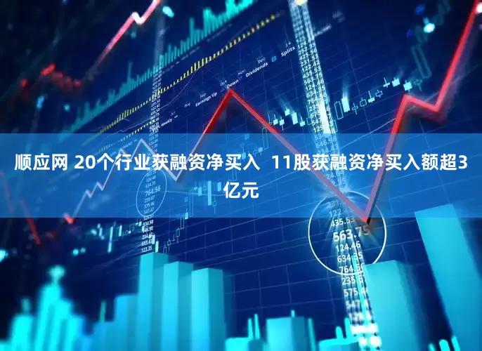 顺应网 20个行业获融资净买入  11股获融资净买入额超3亿元